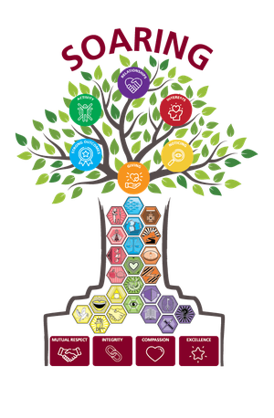 The John Paul College SOARING Tree wellbeing framework: six coloured canopy branches, a trunk of character strengths and roots showing the College values